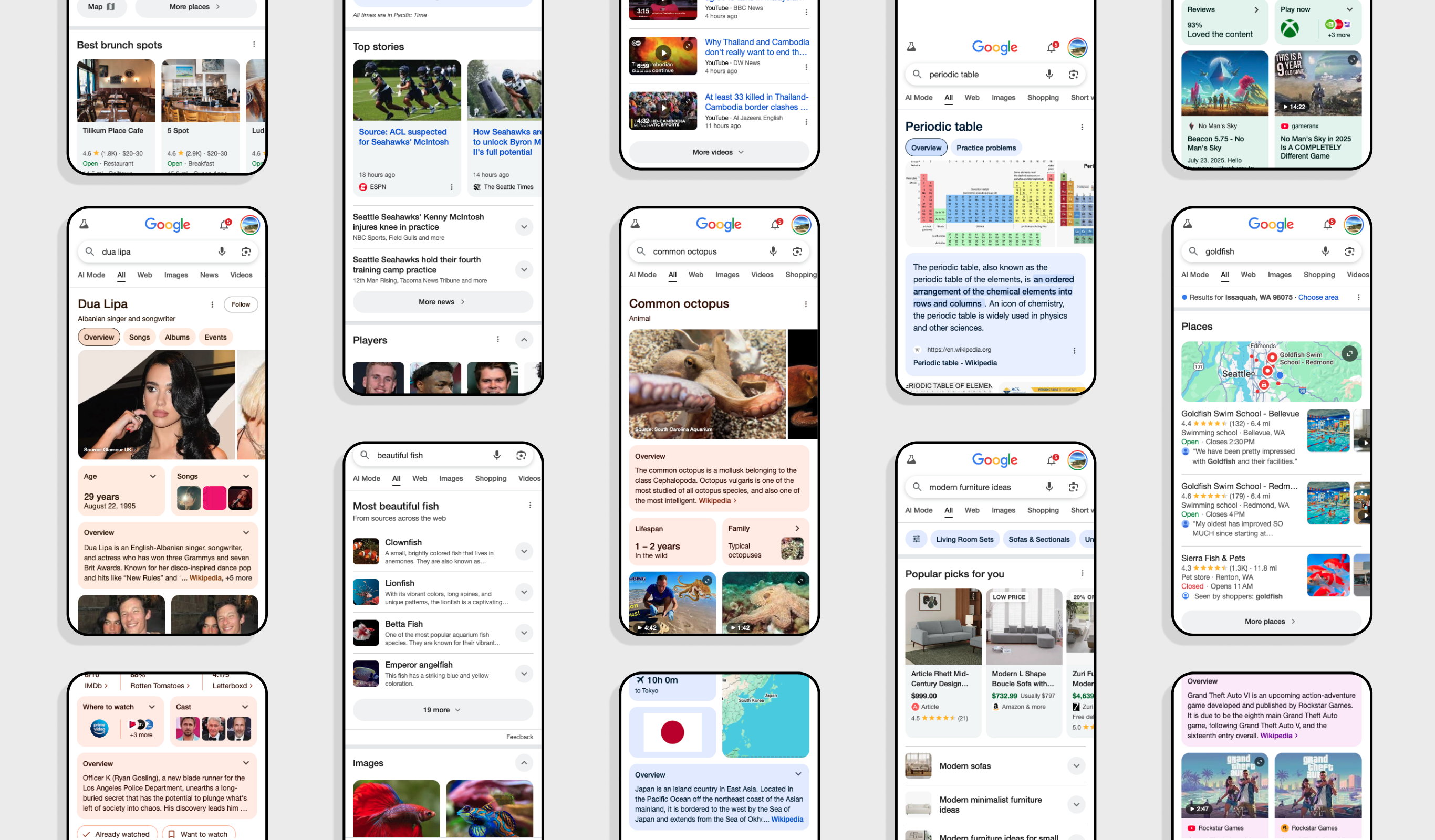 Search Project